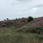 Zola 度假居