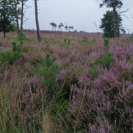 Casa de Férias Zola Rucphen