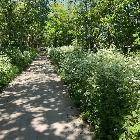 Zola Casa de Férias *