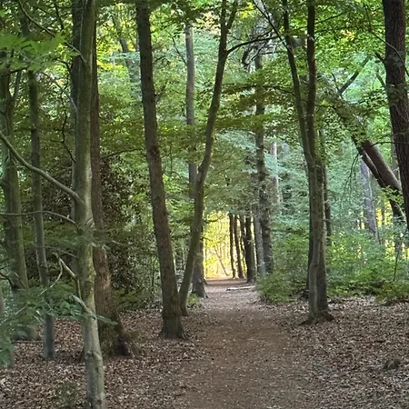 Casa de Férias Zola *