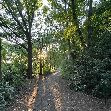 Casa de Férias Zola