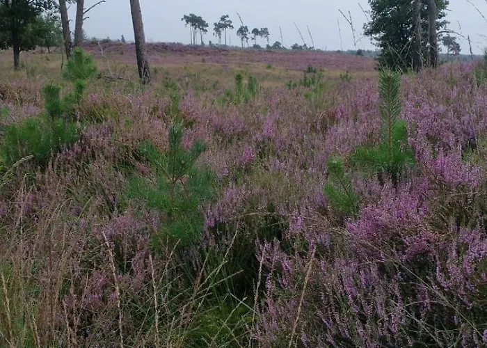 Vakantiehuis Zola Rucphen