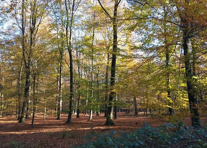 Vakantiehuis Zola Rucphen