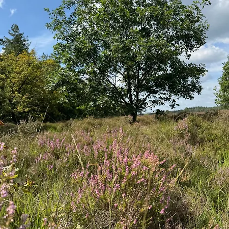 Zola Semesterbostad *