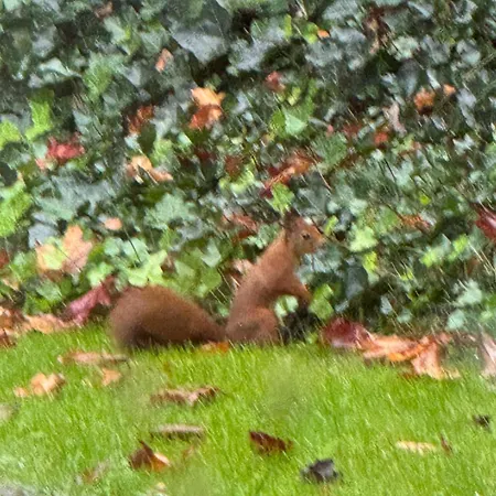 Semesterbostad Zola Rucphen