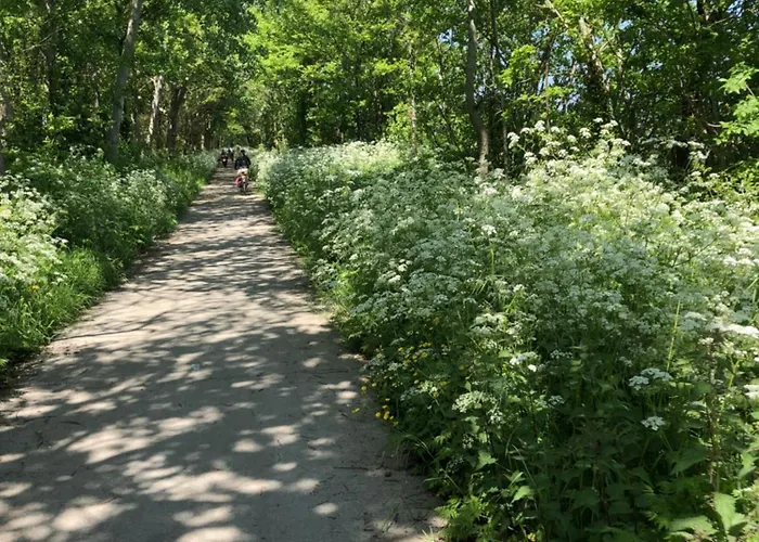 Zola Hébergement de vacances *