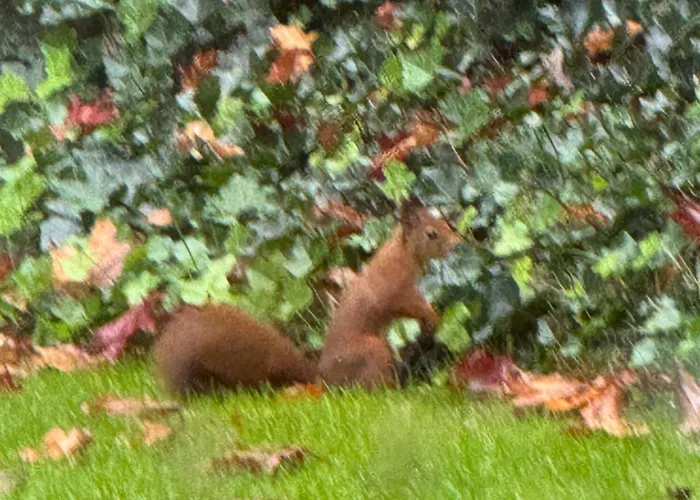 Hébergement de vacances Zola Rucphen